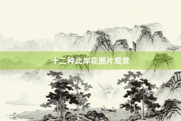 十二种此岸花图片观赏