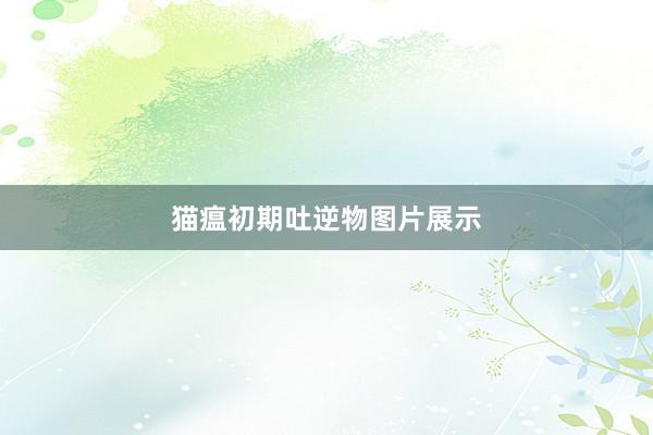 猫瘟初期吐逆物图片展示