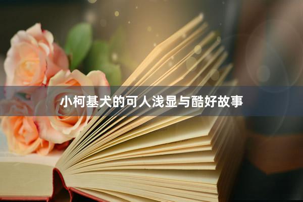 小柯基犬的可人浅显与酷好故事